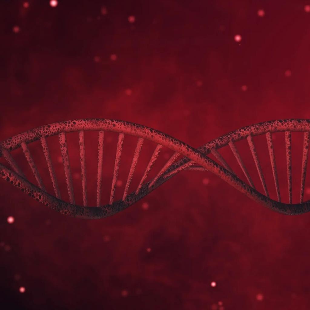 DNA double helix — our divine biological design
